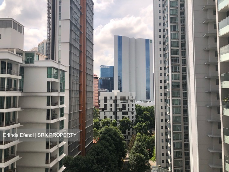 Park Infinia At Wee Nam (D11), Condominium #205496891